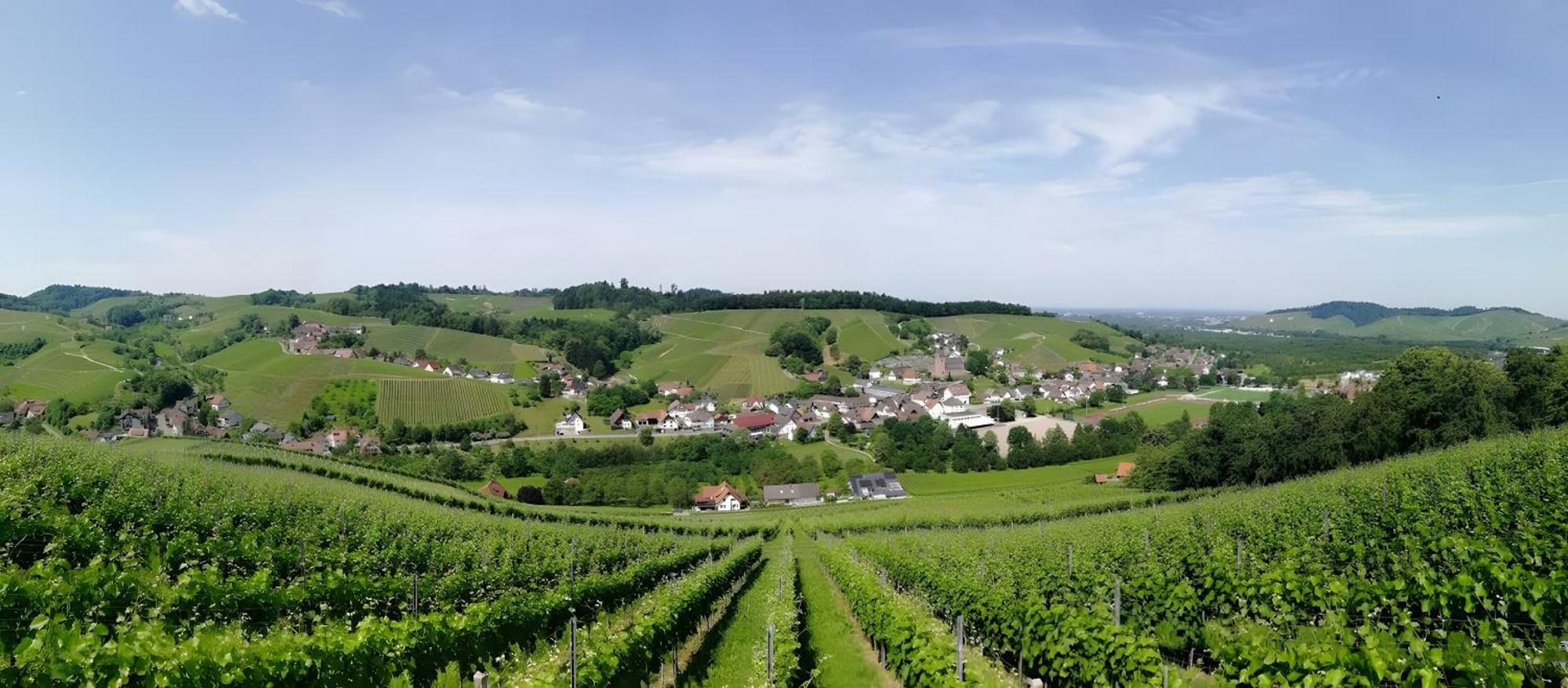 Ferienwohnung Huschle Kappelrodeck Zewnętrze zdjęcie